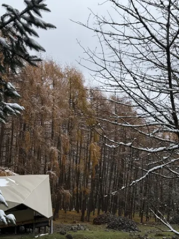 Great Love · Seasonless Ranch (Shenmu Lei)