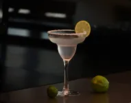 Fengcangjian · Starlit Valley Hot Spring Glamping Hotel - bar