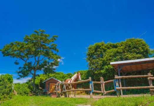 중문통나무펜션&리조트