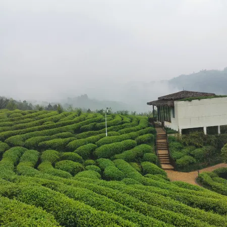 Earthly Teauage Homestay