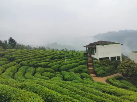 Earthly Teauage Homestay