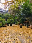 Luoping White Fruit Tree Hotel Hotels near Flower Sea Inn Tourist Town
