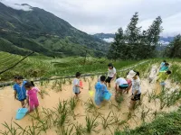 Longji Terrace Lexuan • Yinxuan Homestay (Jinfoding Viewing Terrace Shop)