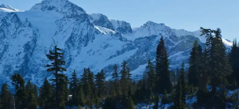 โรงแรมในจาซาน