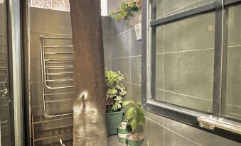 Olive Tree(Xujiahui)
