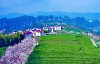 Shanhai Yishu Homestay - palestra