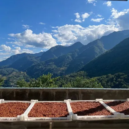 Lüli Homestay (Baoshan Baihualing)