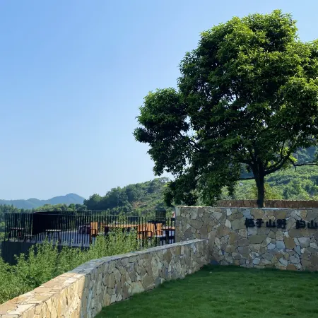 Free and Easy Mountain · Healing and Nourishing Homestay