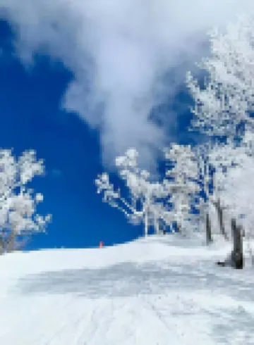 Dongrikaiyang homestay