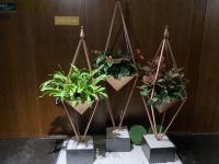 金融城礼宾府行政公馆(广州琶洲会展中心店) - 其他