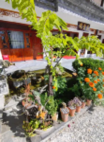 錦霞苑客棧 喜洲附近的飯店