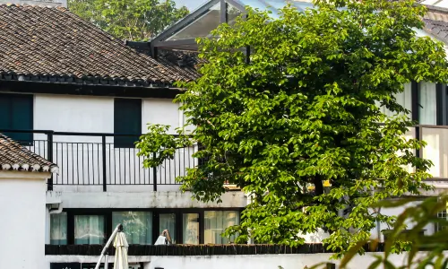 Floral Hotel · Yixing Lake Father Holds Hometown Hotel