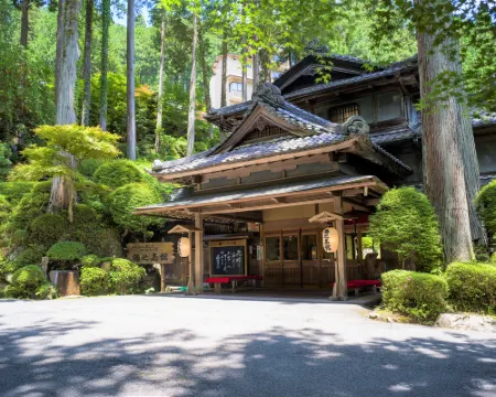 下呂温泉 湯之島館 下呂のホテル