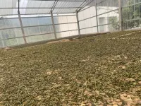 Nanzhang Mountain Tea House Homestay