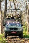 Jungle Villa Resort - Near Chitwan National Park Hotels in Chitwan