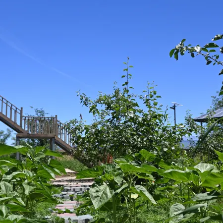 Jiangbulak Youjian Nanshan Homestay