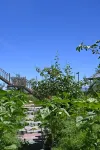 Jiangbulak Youjian Nanshan Homestay - พร้อมระเบียง