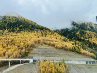 Ten miles of mountains and rivers light luxury B&B (Siguniang Mountain) - Lemmikkieläimet sallittu