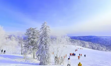 Mianhuatang Hotel (China's Snow Town Scenic Area)