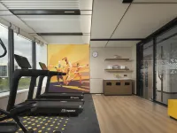 Hampton by Hilton Nanyang Jiangying Airport - Gym
