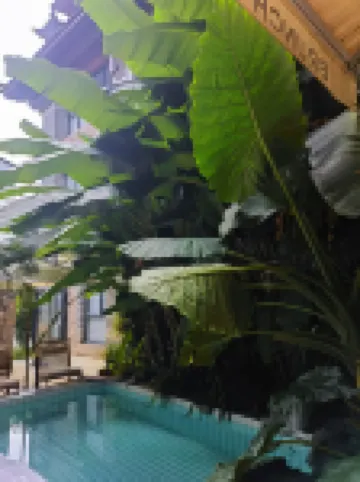 Lijiang Anomaniac Sanjie Youth Hostel