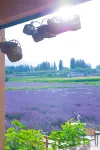 Huocheng Rushi homestay - Mountain view