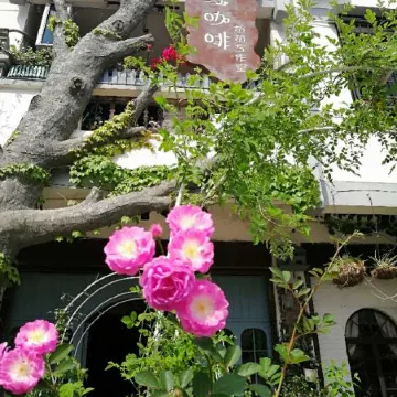 Taining Flower House B&B