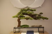 QIANNA HOTEL JOURNEY (Xingyang Municipal Government)