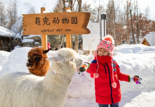 Crowne Plaza Resort Changbaishan Hot Spring Hotel Overview