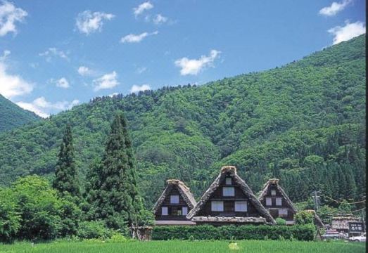 호텔 조식 뷔페