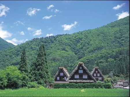 Toyota Shirakawa-Go Eco-Institute Отели рядом с достопримечательностью «Kanda house»