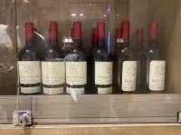 Jiujinag Tianyue Hotel - Haustierfreundliche
