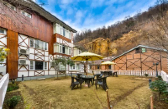Hotel Metropolis Srinagar