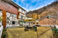 Hotel Metropolis Srinagar