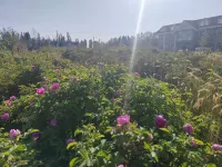 Horgos Silk Road Pearl Garden