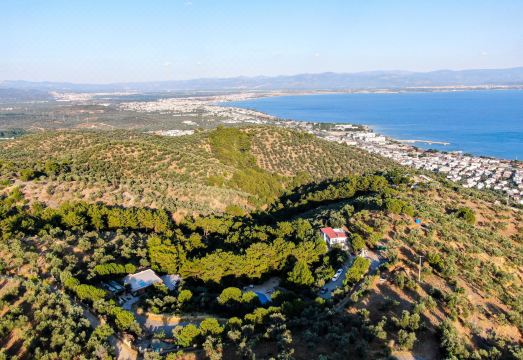 2. 두슬러 바디시 ..