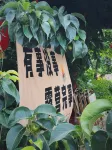Banshandu Homestay - خدمة نقل من وإلى المطار