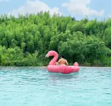 Moganshan·Suishan TuttoBene·Infinity Party Pool·Designer Meisu - مسبح غير متناهي