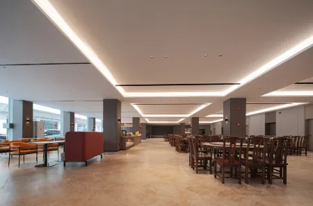 Borrman International Hotel (Zhangjiajie National Forest Park Biaozhimen) Отели рядом с достопримечательностью «Bailong Elevator»