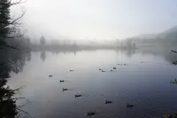Da Hinggan Ling Yunxi Forest Scenery Yangxin Valley - ที่มีที่จอดรถ