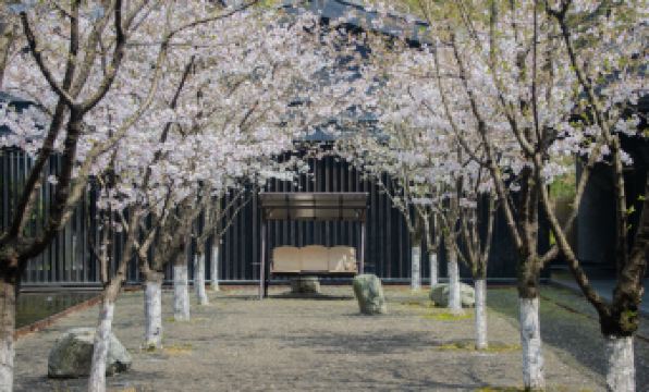 Peitree Resorts Yaoliang