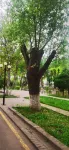 Xinyuan Licheng Garden Hotel (Passenger Terminal  People's Square Branch) - Parkering