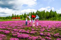 home alone in Hong Li Hotels in Fenglin County