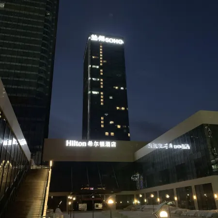 Black Plastic Disc Designer Art Hotel (Lanzhou Central Provincial Maternity and Child Store)