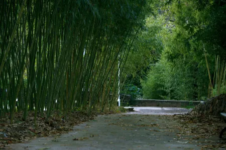 Liangkejian Art Hotel