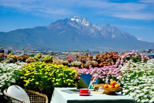 Lijiang is gone Snow Mountain View House