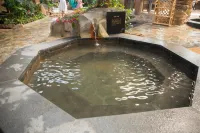 Shuishi Forest Hot Spring Resort - Hot Springs