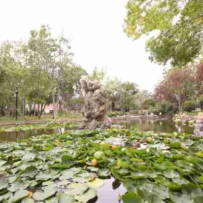 新鄉德潤會議中心 Hotel Exterior