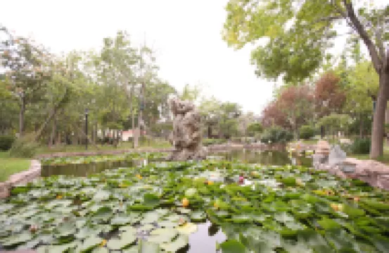 Derun Conference Center