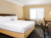 Days Inn by Wyndham San Diego Hotel Circle Hotels in San Diego county